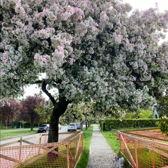 Meet your Posher, Andrea - Picture 15 of 15